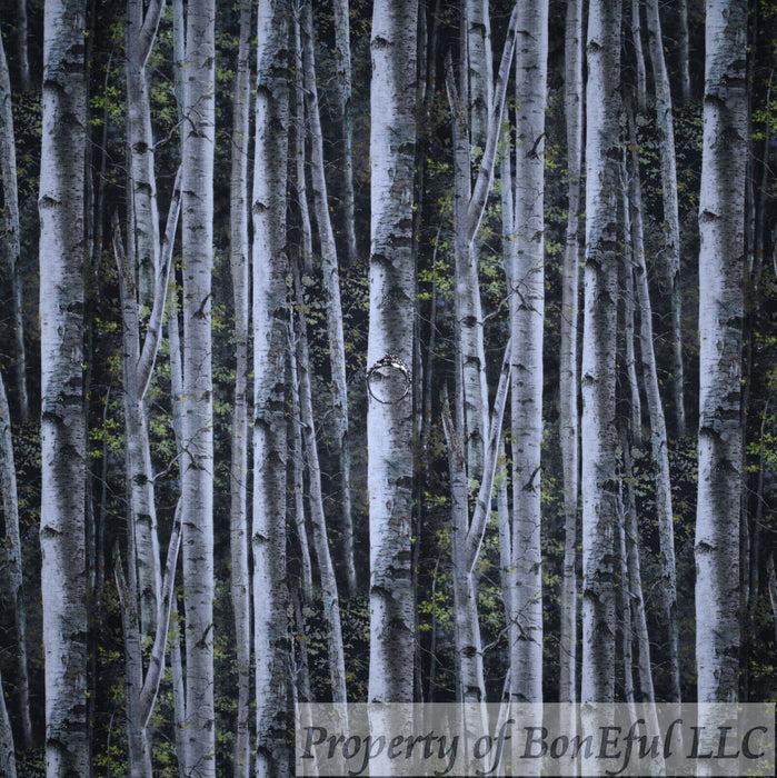 Cotton Fabric BTY Black B&W Tree White Birch Spring Summer Woods Scenic